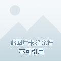 不良尸姐