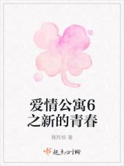 爱情公寓6之新的青春