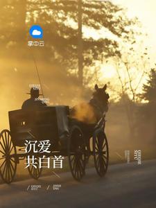 职路风云